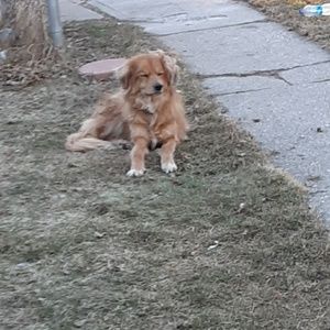 Meet your Posher, Emmanuel